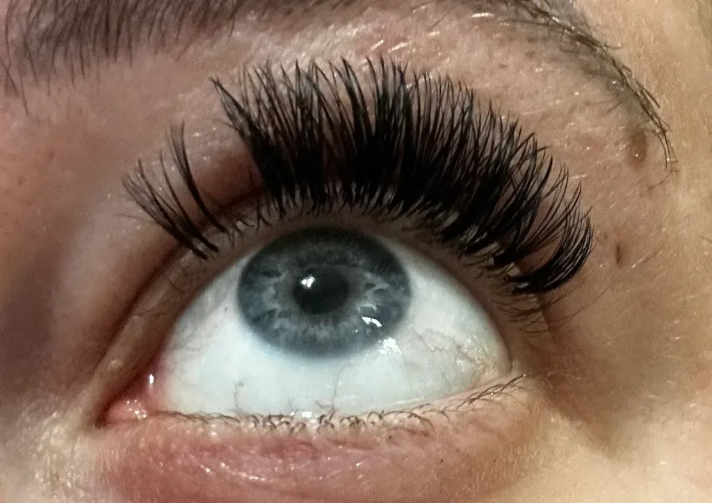 The Lash and Sugar Company — Beauty salon in Gilbert